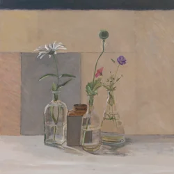 Vainas de semillas rojas, blancas y azules, 2008